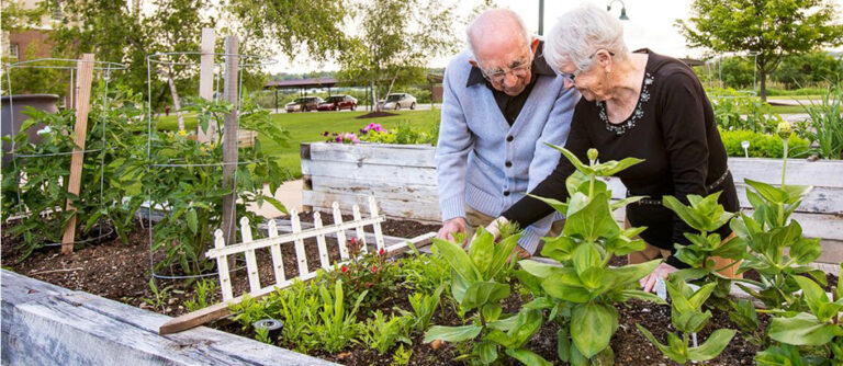 Exploring Senior Living Options in Garden Grove Real Estate