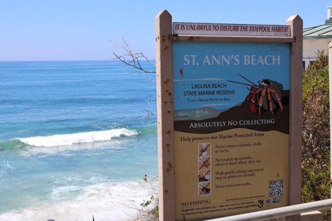How Coastal Regulations Shape Laguna Beach Real Estate