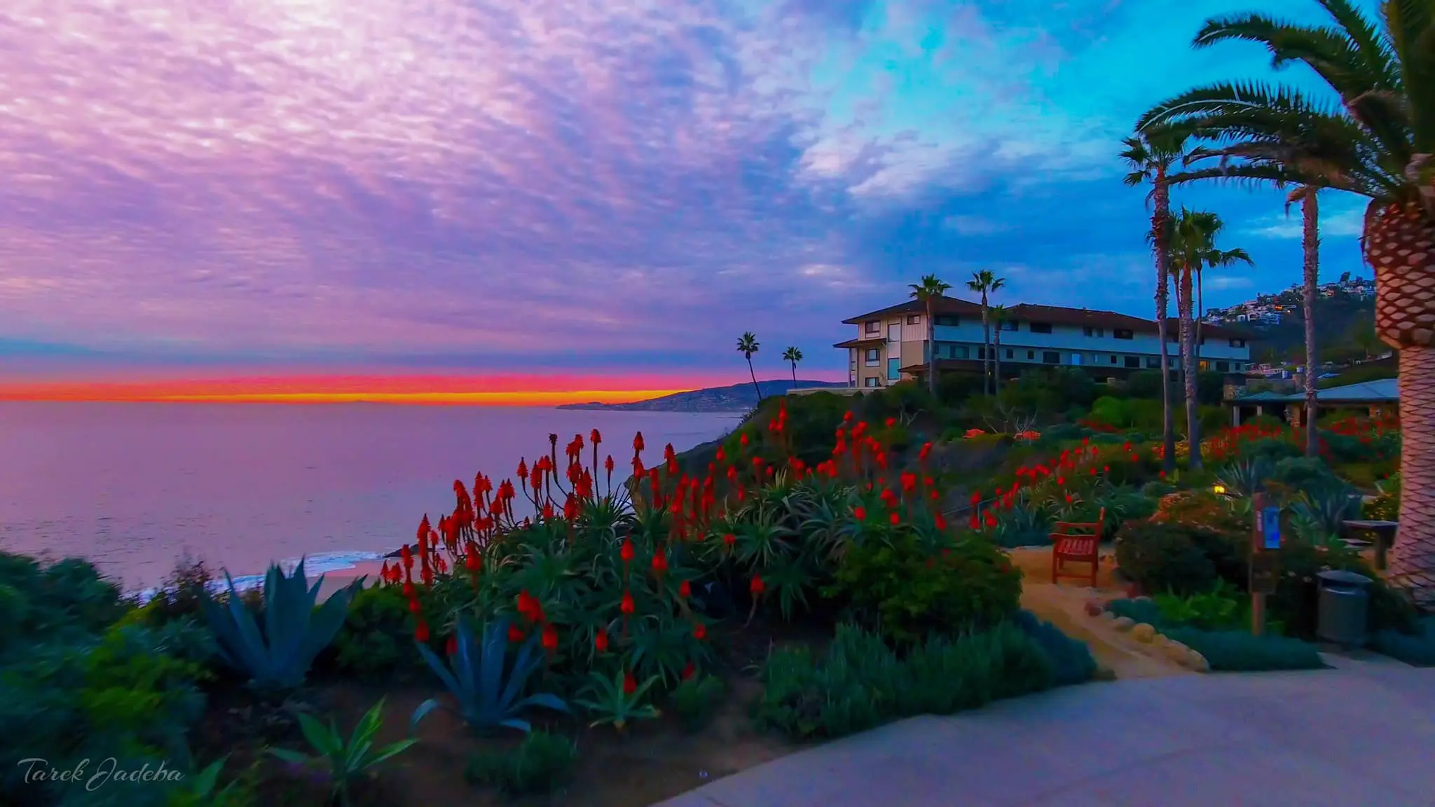 Newport Beach vs. Laguna Beach Which is Better for Living