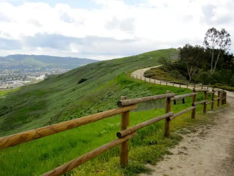 The Best Hiking Trails Near Laguna Niguel Homes