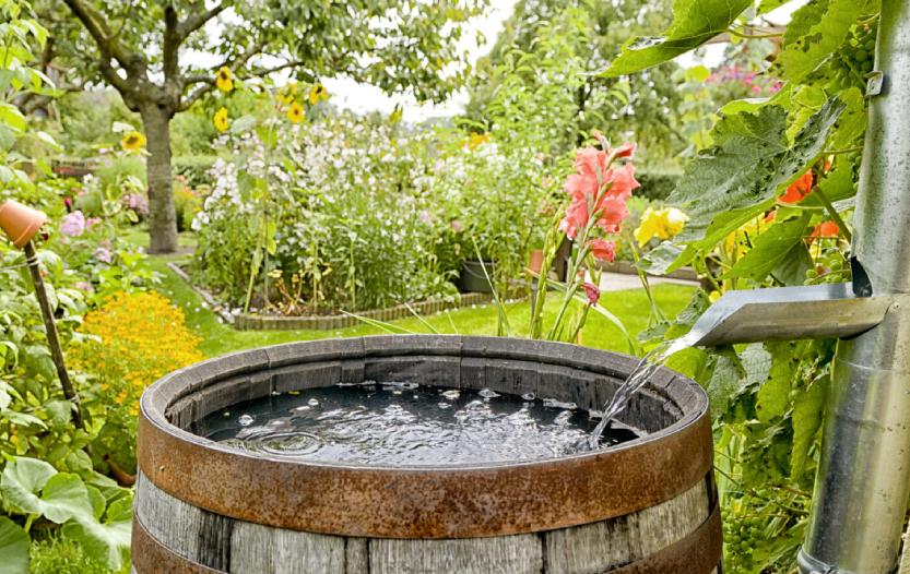 Water-Saving Features for San Juan Capistrano Homeowners Sustainable Living in a Coastal Paradise