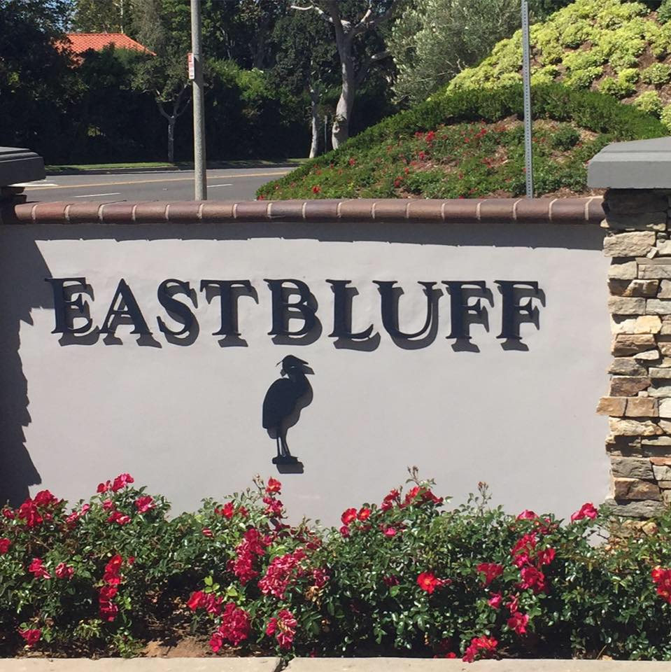 Why Families Love Newport Beach Neighborhoods