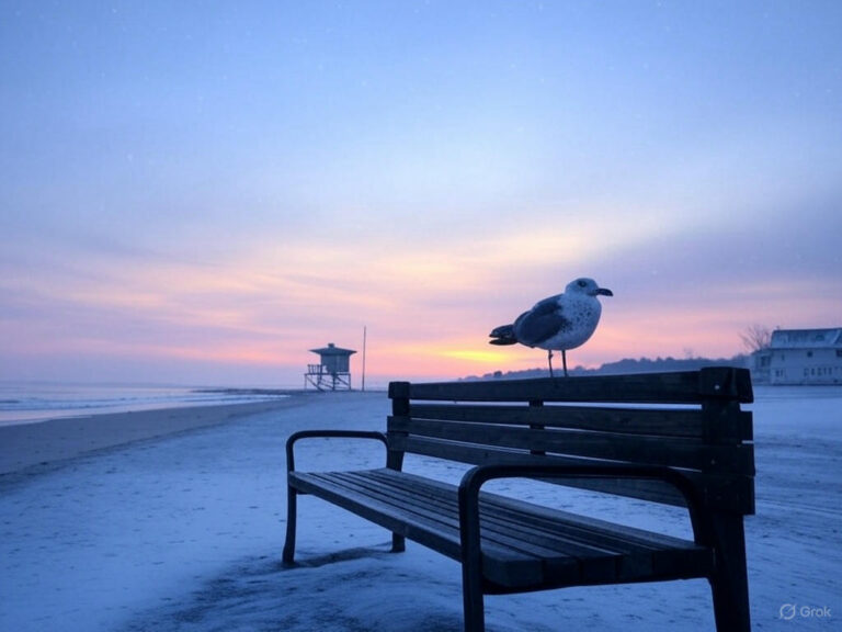 Winter Buying Opportunities in Laguna Beach A Hidden Gem for Savvy Homebuyers