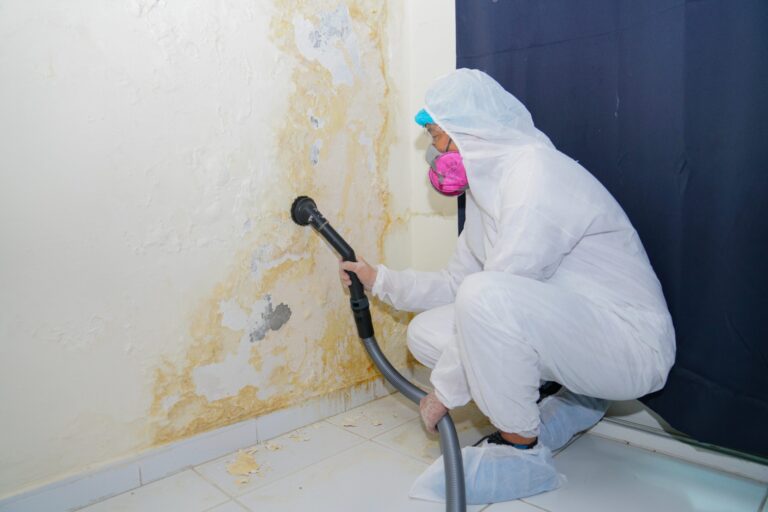 Costa Mesa Property Management- Dealing with Mold Issues