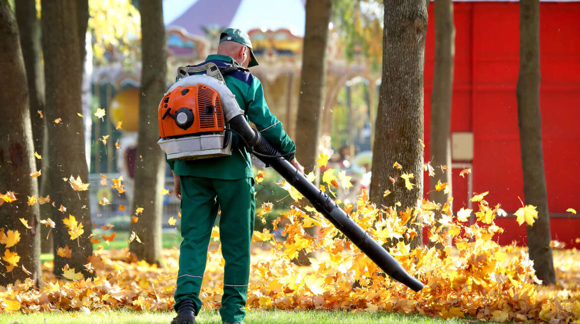 Working in the Park removes autumn leaves with a blower