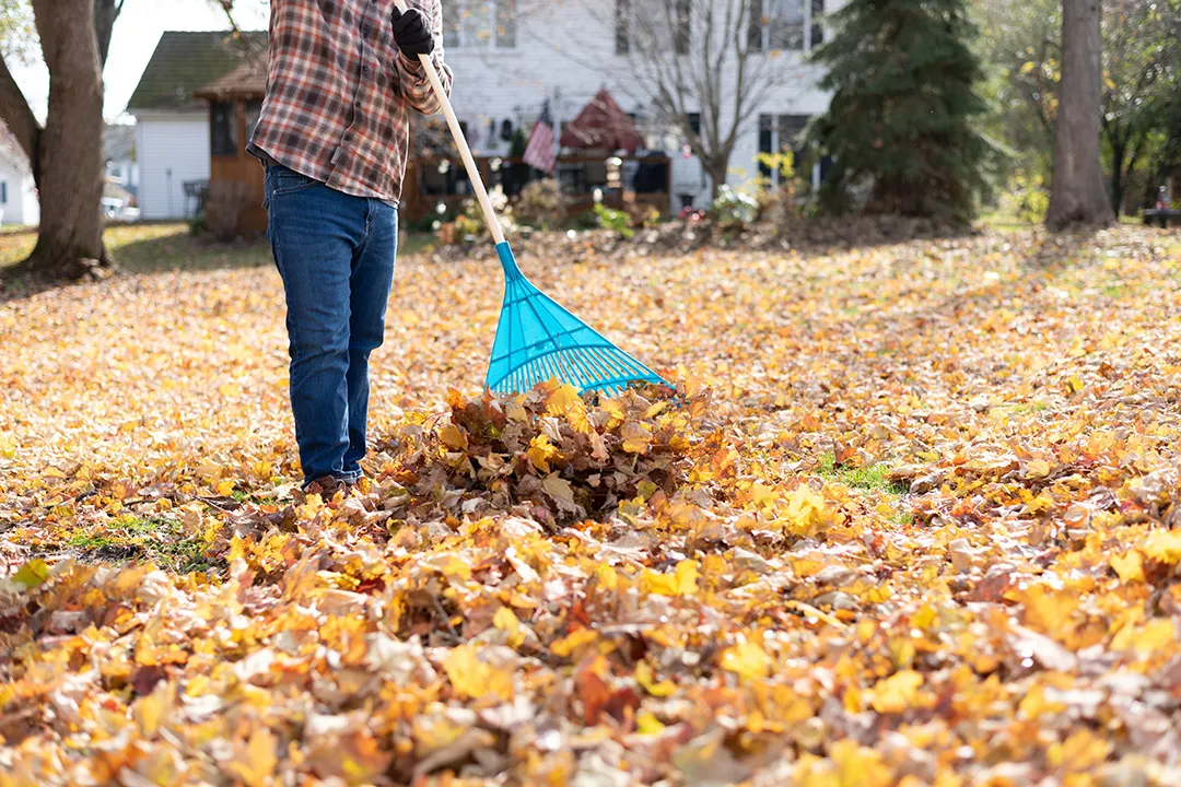 Costa Mesa Property Management- Fall Maintenance Guide