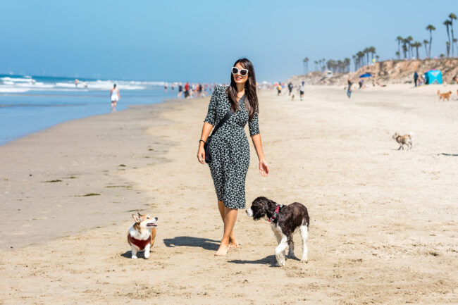 Managing Pet-Friendly Rentals in Huntington Beach- A Comprehensive Guide