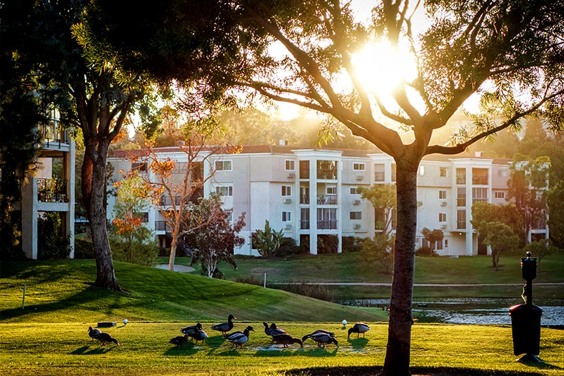 Laguna Woods Village vs. Other Orange County 55+ Communities- A Comprehensive Comparison