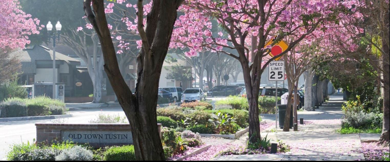 Relocating to Tustin- A Complete Moving Guide