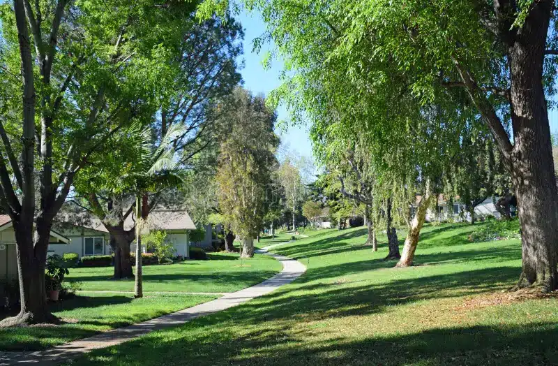 The Benefits of Walkable Communities in Laguna Woods
