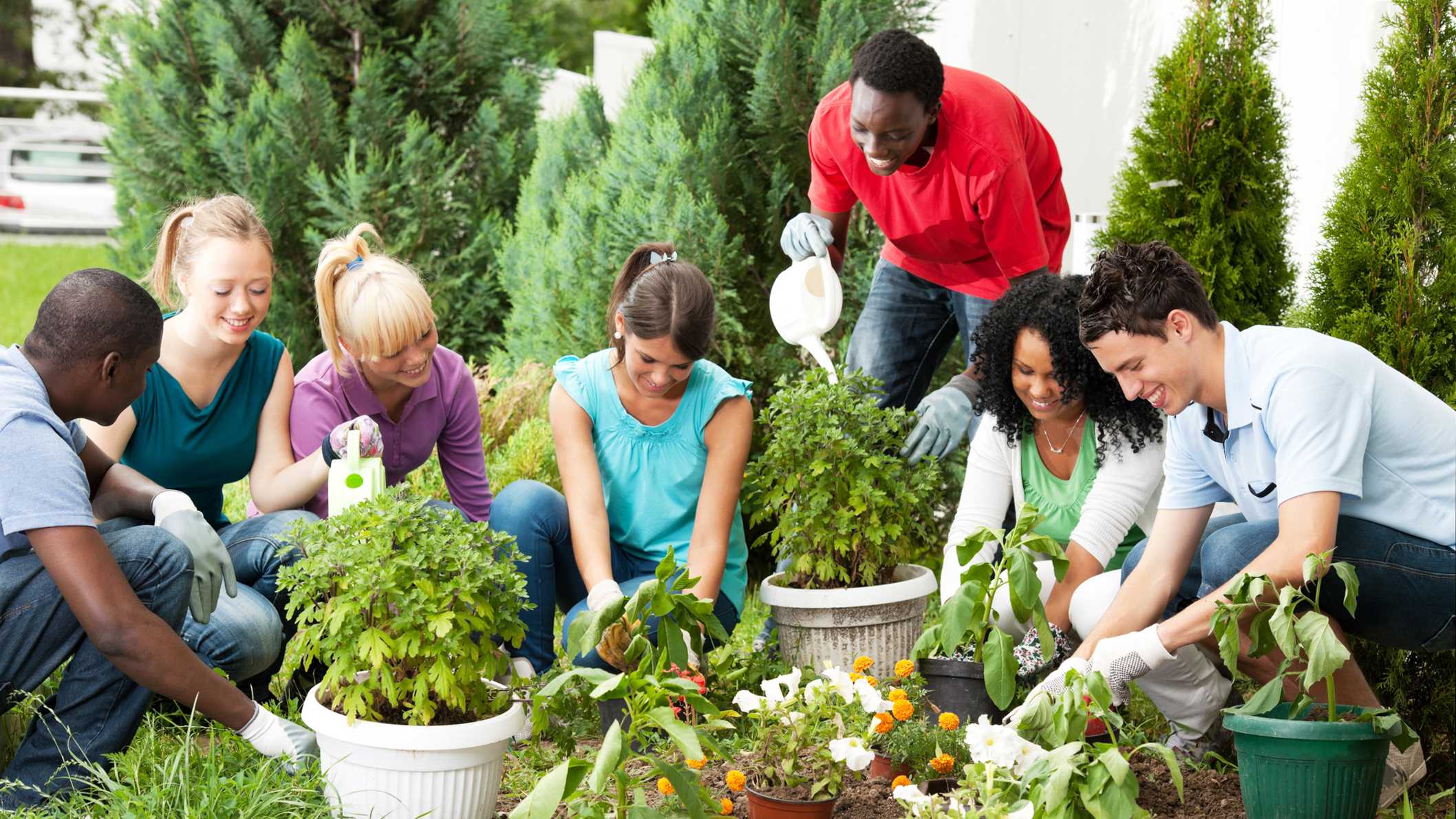 Community Gardens in Downtown Huntington Beach Neighborhoods Cultivating Connections and Sustainability