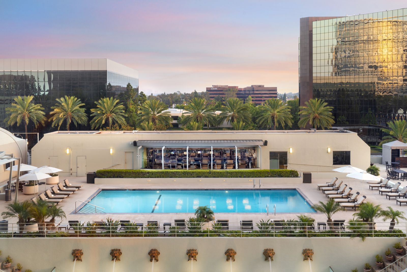 Discovering the Rich Local Amenities in South Coast Metro Neighborhoods