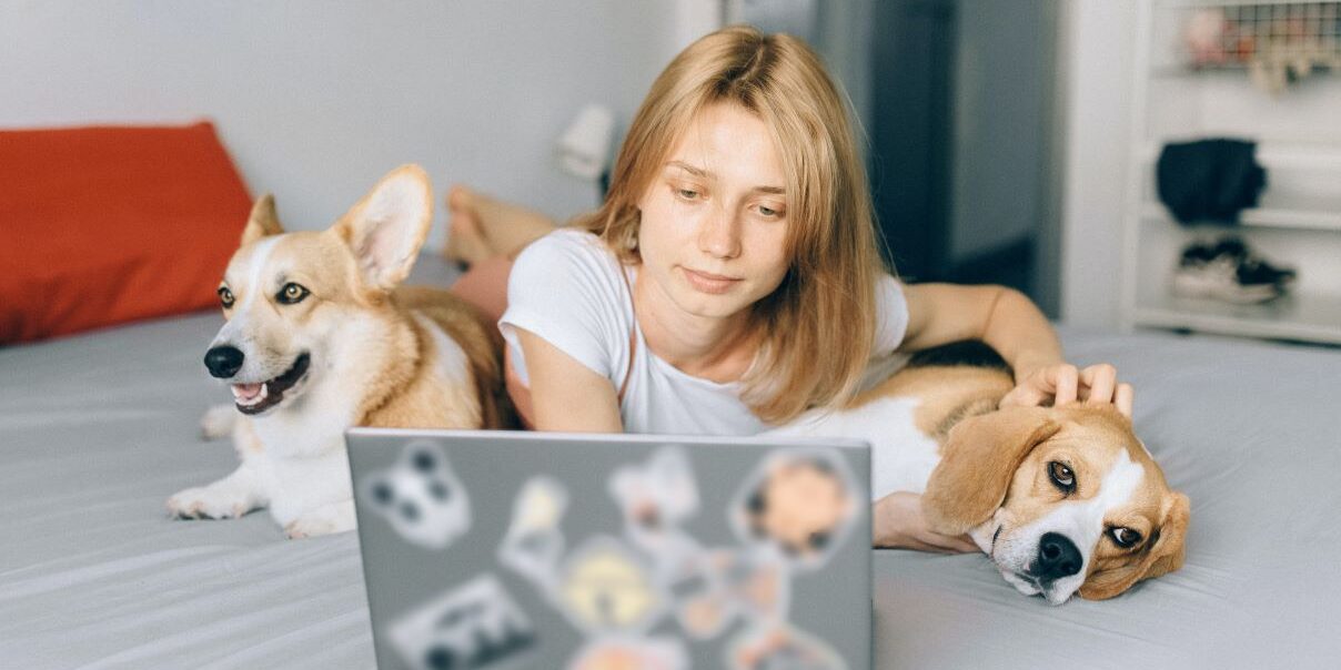 Pet-Friendly Condos in South Coast Metro A Comprehensive Guide for Pet Owners