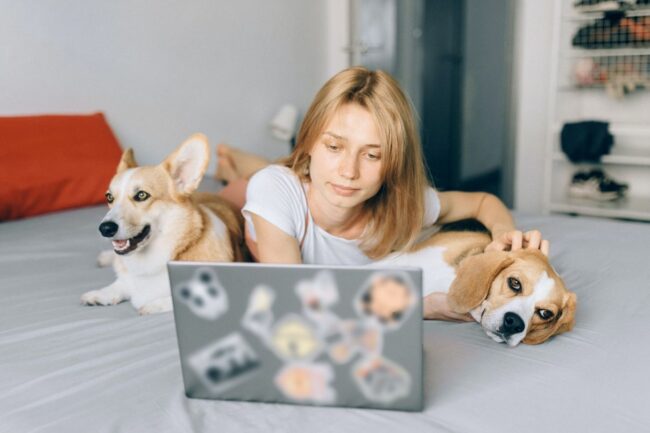 Pet-Friendly Condos in South Coast Metro A Comprehensive Guide for Pet Owners