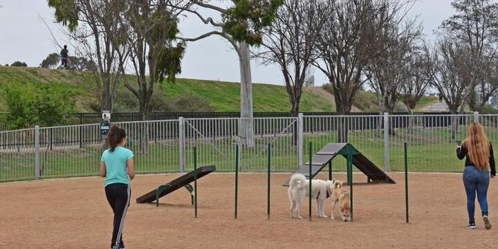 Pet Parks and Trails Near Downtown Huntington Beach Properties