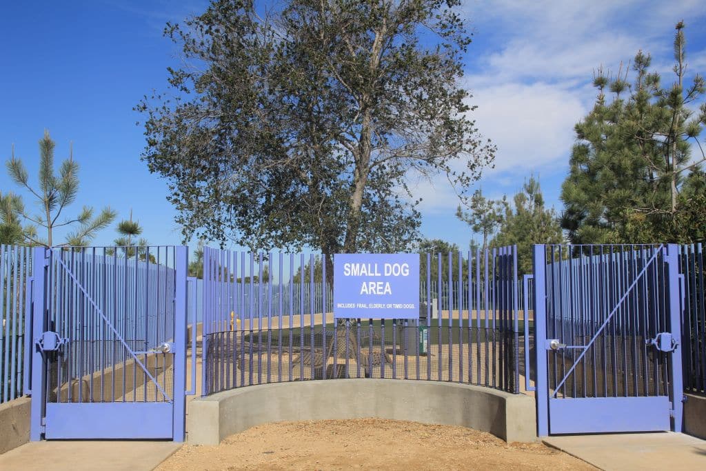 Discovering the Best Dog Parks Near South Coast Metro Homes