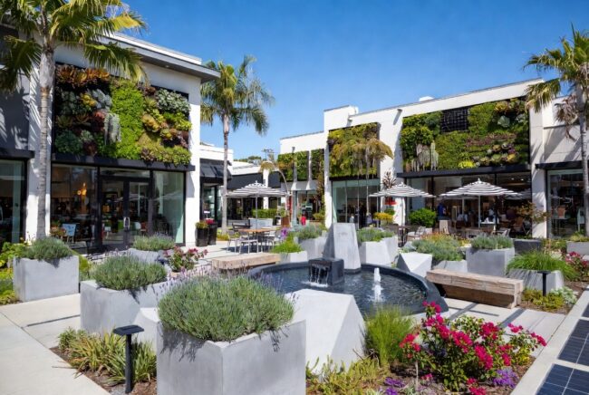 Creative Renovation Ideas for Landscaping in Retail Spaces in Newport Beach, Orange County
