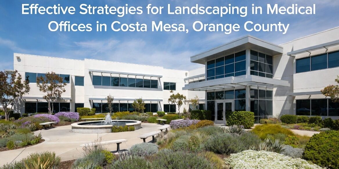 Effective Strategies for Landscaping in Medical Offices in Costa Mesa, Orange County
